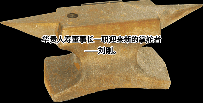 华贵人寿保险股份有限公司