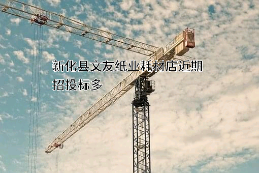 新化县文友纸业耗材店近期招投标项目多