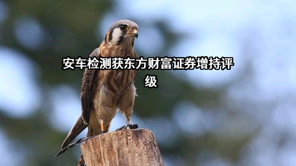 深圳市安车检测股份有限公司