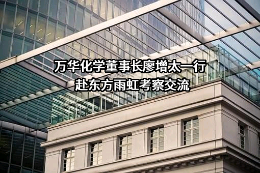 万华化学集团股份有限公司
