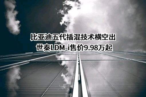 比亚迪股份有限公司