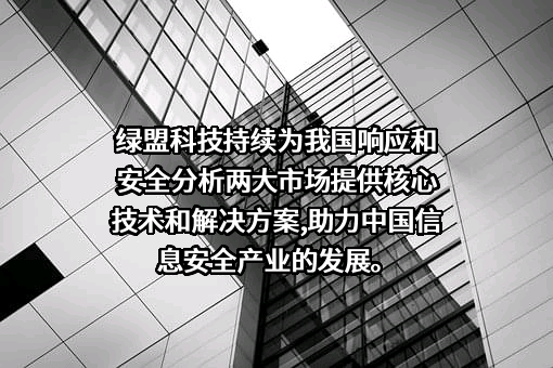 绿盟科技集团股份有限公司