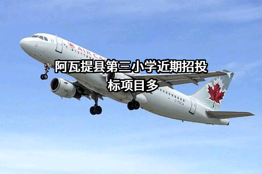 阿瓦提县第三小学