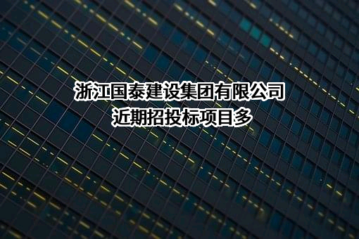 浙江国泰建设集团有限公司
