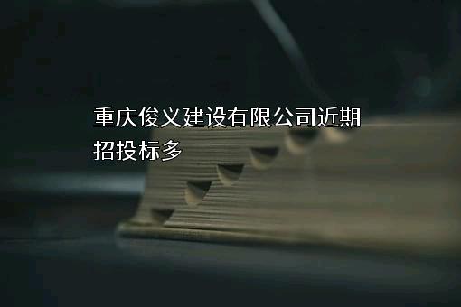 重庆俊义建设有限公司