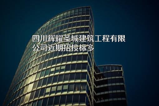 四川辉耀圣城建筑工程有限公司
