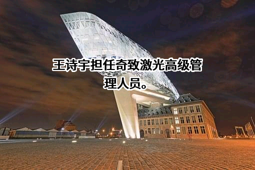 武汉奇致激光技术股份有限公司