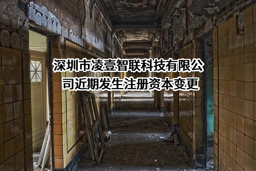 深圳市凌壹智联科技有限公司