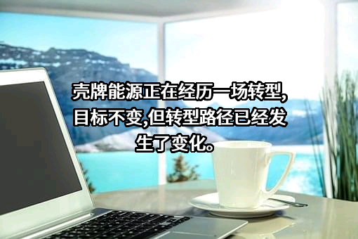 壳牌（中国）有限公司