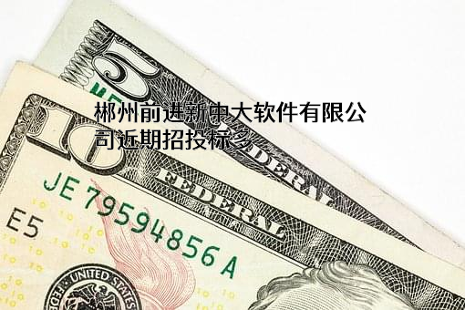 郴州前进新中大软件有限公司