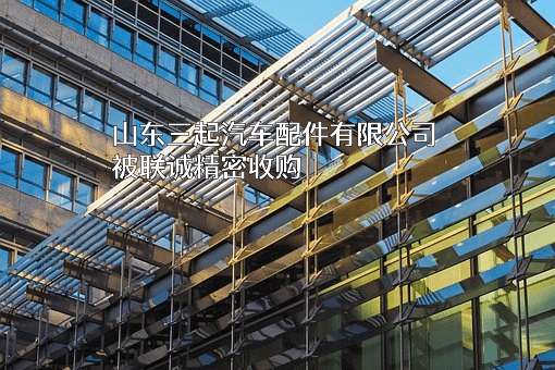 山东三起汽车配件有限公司