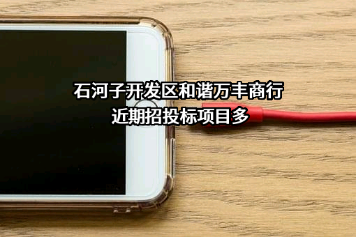 石河子开发区和谐万丰商行近期招投标项目多