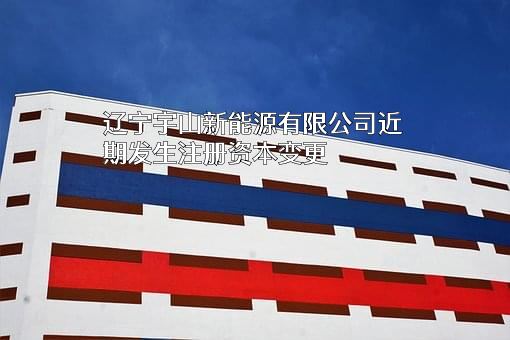 辽宁宇山新能源有限公司
