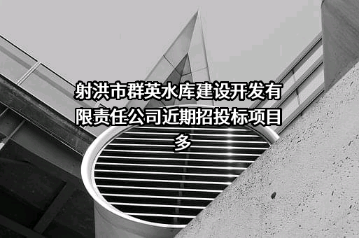 射洪市群英水库建设开发有限责任公司