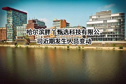 哈尔滨胖丫甄选科技有限公司