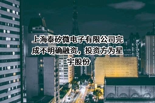 上海泰矽微电子有限公司