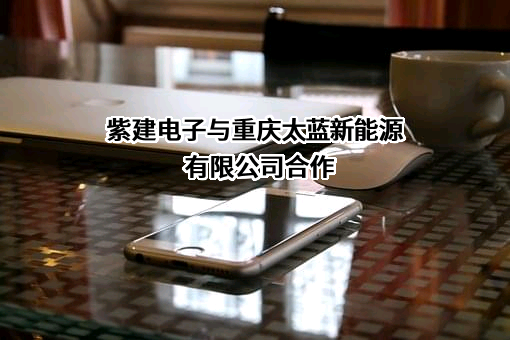 重庆市紫建电子股份有限公司