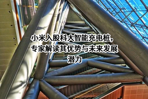 小米科技有限责任公司