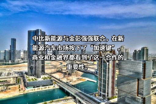 中比新能源科技有限公司