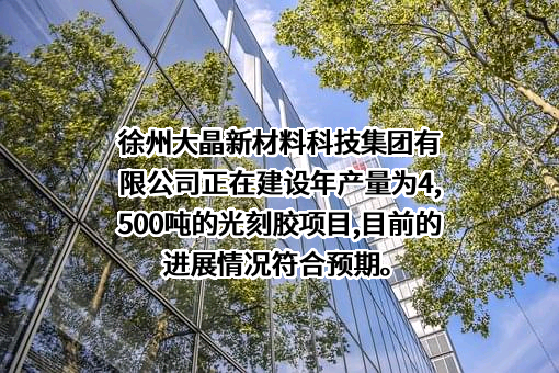 徐州大晶新材料科技集团有限公司