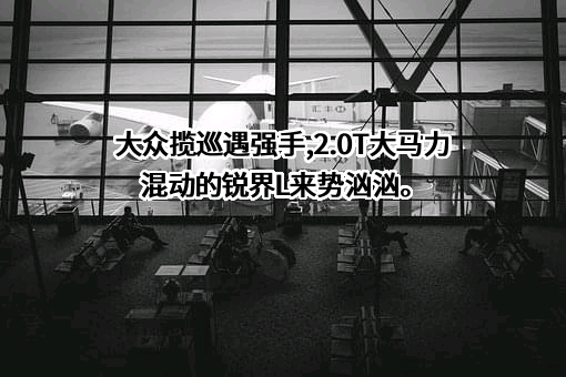 大众汽车（中国）投资有限公司