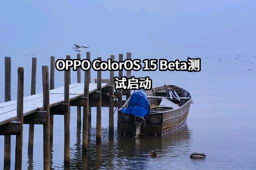 OPPO广东移动通信有限公司