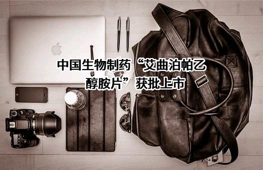 中国生物制药有限公司