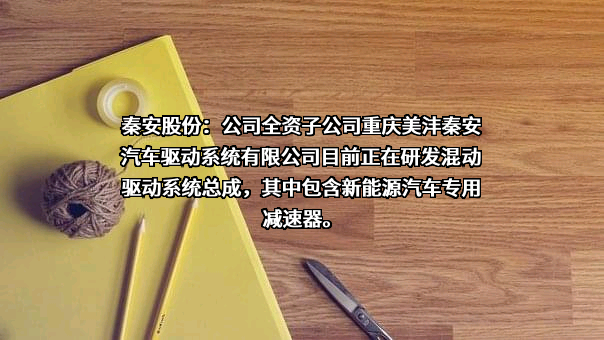 重庆秦安机电股份有限公司