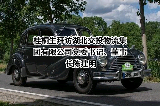 湖北交投物流集团有限公司