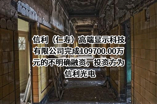 信利（仁寿）高端显示科技有限公司完成109700.00万元的不明确融资，投资方为信利光电