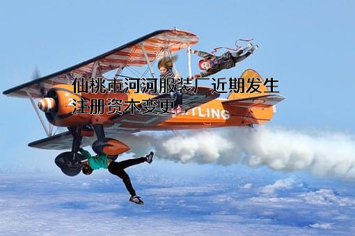 仙桃市河河服装厂