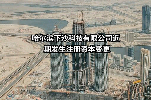 哈尔滨下沙科技有限公司