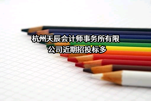 杭州天辰会计师事务所有限公司