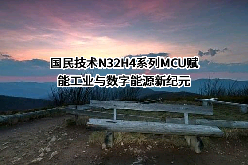 国民技术股份有限公司