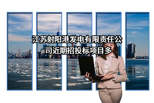 江苏射阳港发电有限责任公司