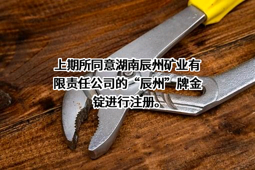 湖南辰州矿业有限责任公司