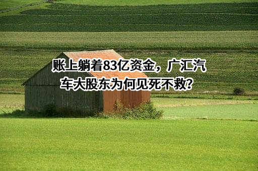 广汇汽车服务集团股份公司