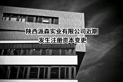 陕西派森实业有限公司