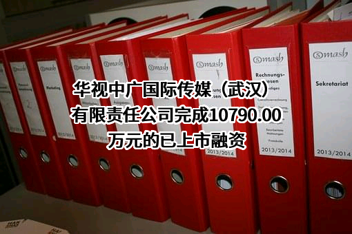 华视中广国际传媒(武汉)有限责任公司