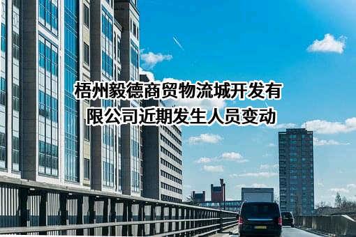 梧州毅德商贸物流城开发有限公司
