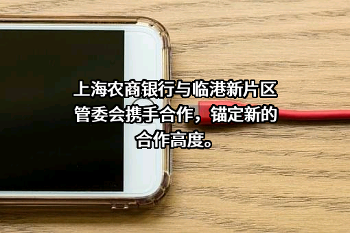 上海农村商业银行股份有限公司