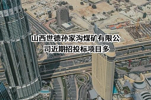 山西世德孙家沟煤矿有限公司近期招投标项目多