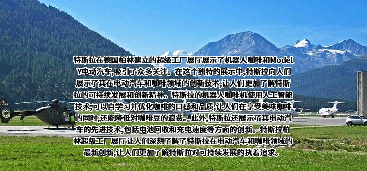 特斯拉（上海）有限公司