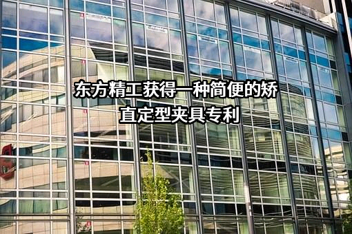 广东东方精工科技股份有限公司