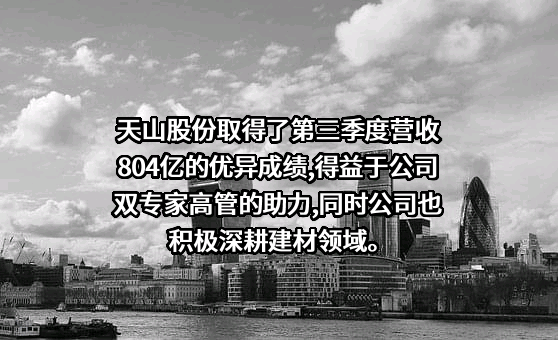 新疆天山水泥股份有限公司