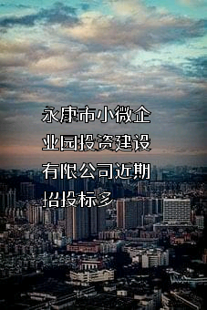 永康市小微企业园投资建设有限公司