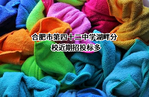 合肥市第四十二中学湖畔分校近期招投标项目多