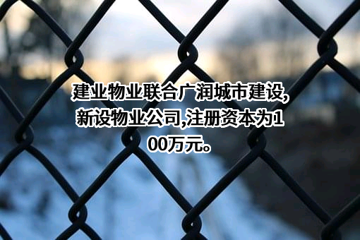 河南建业物业管理有限公司