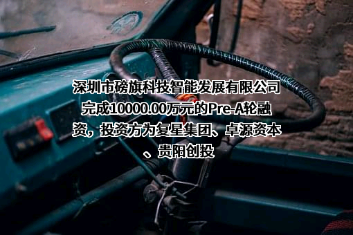 深圳市磅旗科技智能发展有限公司