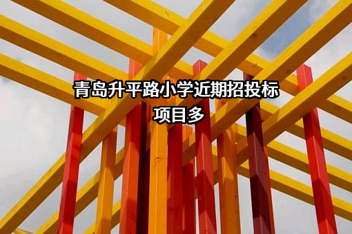 青岛升平路小学
